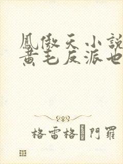 凤傲天小说里的黄毛反派也想要幸福txt