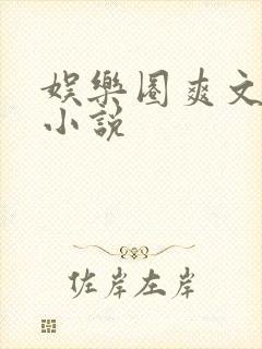 娱乐圈爽文女主小说