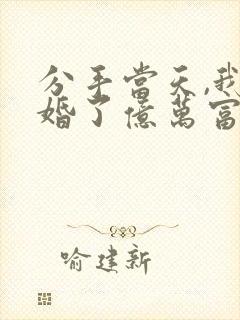 分手当天,我闪婚了亿万富豪完结