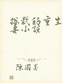 总裁的重生腹黑妻小说