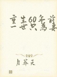 重生60年前这一世只为妻儿全集在线观看