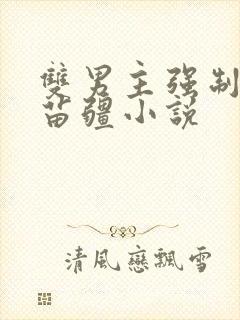 双男主强制生子苗疆小说