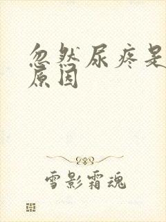 忽然尿疼是什么原因