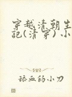 穿越清朝生活手记(清穿) 小说