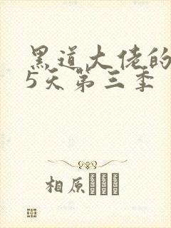 黑道大佬的365天第三季