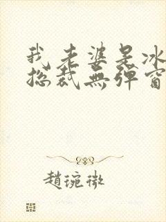 我老婆是冰山女总裁无弹窗免费