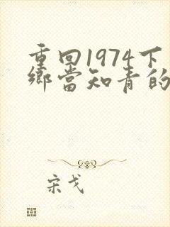 重回1974下乡当知青的小说