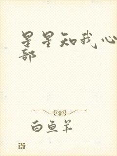 星星知我心第二部