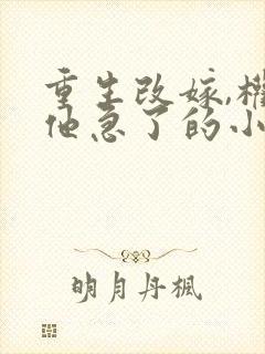 重生改嫁,权臣他急了的小说