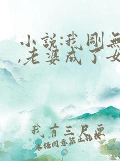 小说:我刚无敌,老婆成了女帝