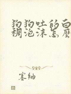 狗狗吐的白色粘稠泡沫怎么办