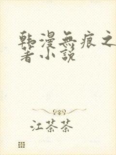 韩漫无痕之夜原著小说