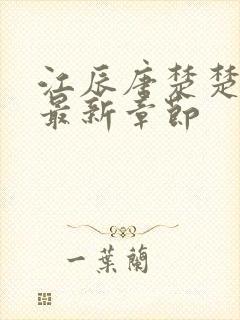 江辰唐楚楚最快最新章节