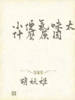 小便气味太大是什么原因