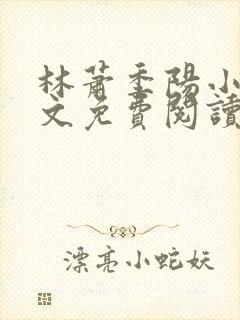 林萧季阳小说全文免费阅读