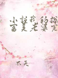 小说我的总裁白富美老婆完结版