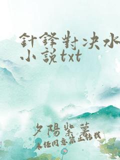 针锋对决水千丞小说txt