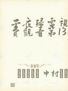 子夜归电视剧免费观看第13集