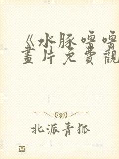 《水豚噜噜》动画片免费观看