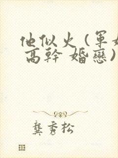 他似火 (军婚 高干 婚恋)类似小说