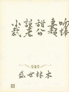 小说甜妻吻安总裁老公超棒的