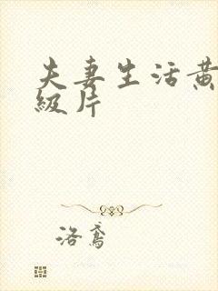 夫妻生活黄色一级片