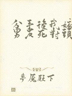 分手后我嫁给前男友死对头沈淮