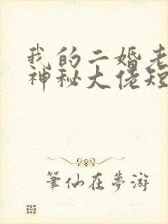 我的二婚老公是神秘大佬短剧