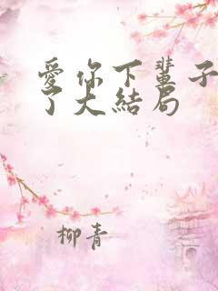 爱你下辈子不会了大结局