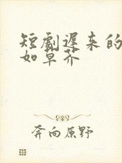 短剧迟来的深情如草芥