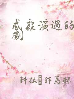 成毅演过的古装剧