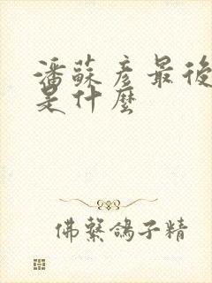 潘苏彦最后结局是什么