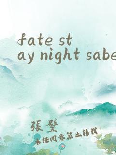 fate stay night saber