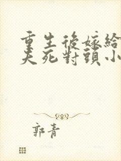 重生后嫁给了前夫死对头小说