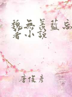 魏无羡蓝忘机原著小说