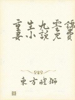 重生九零锦鲤福妻小说免费