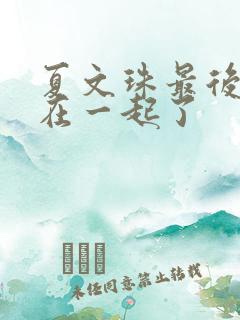 夏文珠最后和谁在一起了