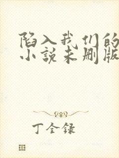 陷入我们的热恋小说未删版txt