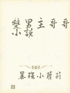 双男主哥哥弟弟小说