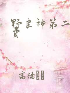 野良神第二季免费