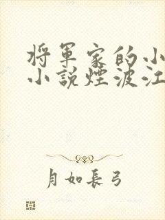 将军家的小娘子小说烟波江南