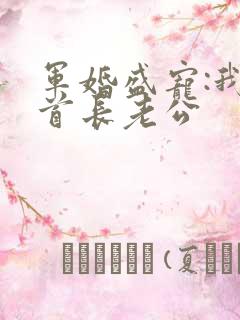 军婚盛宠:我的首长老公