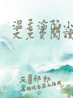 温柔沦陷小说全文免费阅读笔趣阁