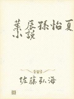 叶辰孙怡夏若雪小说