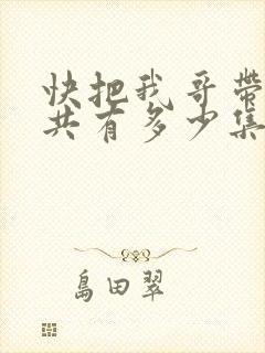 快把我哥带走一共有多少集?