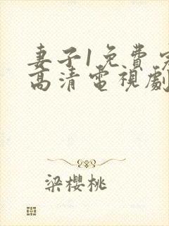 妻子1免费完整高清电视剧在线观看