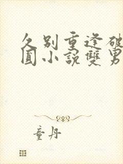 久别重逢破镜重圆小说双男主小说