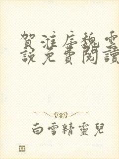 贺淮序魏云汐小说免费阅读最新章节