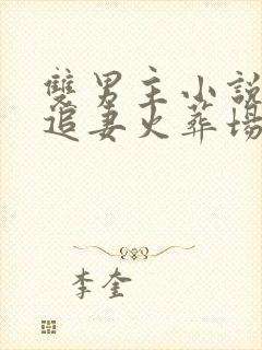 双男主小说推文追妻火葬场