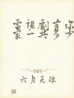 电视剧有你才有家一共多少集